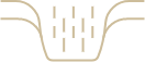 Animated bone graft icon